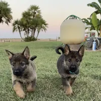 processed/3ed68027-1a7b-4a4e-a76e-d209a5412204/facility/2aee6a07-106a-4f94-a0a5-34a06154abc6