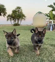 processed/3ed68027-1a7b-4a4e-a76e-d209a5412204/facility/2aee6a07-106a-4f94-a0a5-34a06154abc6