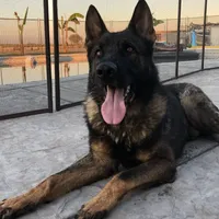 processed/3ed68027-1a7b-4a4e-a76e-d209a5412204/facility/2f65d387-8e40-4f84-921c-ae1c696ab682