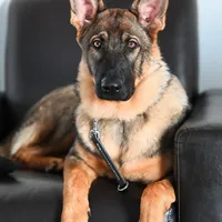 processed/3ed68027-1a7b-4a4e-a76e-d209a5412204/facility/36cf078d-3789-43fb-8ae8-f92aa87251ff