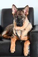 processed/3ed68027-1a7b-4a4e-a76e-d209a5412204/facility/36cf078d-3789-43fb-8ae8-f92aa87251ff