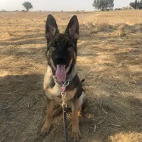 processed/3ed68027-1a7b-4a4e-a76e-d209a5412204/facility/461ec6b8-27ca-4511-b89e-9a272d73ce36