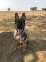 processed/3ed68027-1a7b-4a4e-a76e-d209a5412204/facility/461ec6b8-27ca-4511-b89e-9a272d73ce36