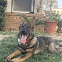 processed/3ed68027-1a7b-4a4e-a76e-d209a5412204/facility/b4c16821-6ace-4188-9ae3-3dbde55b0ac2