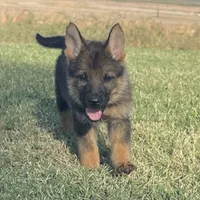 processed/3ed68027-1a7b-4a4e-a76e-d209a5412204/facility/b83eb293-e0c3-4a6e-9189-ce98882bede4