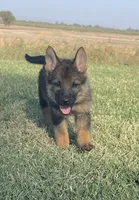 processed/3ed68027-1a7b-4a4e-a76e-d209a5412204/facility/b83eb293-e0c3-4a6e-9189-ce98882bede4