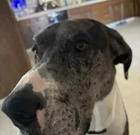 processed/3ed68027-1a7b-4a4e-a76e-d209a5412204/listing/e71f4465-e335-4cd0-81d8-0cb0fd676d38/3b13d410-2b25-427c-8a33-3921f579e154