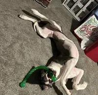 processed/3ed68027-1a7b-4a4e-a76e-d209a5412204/listing/e71f4465-e335-4cd0-81d8-0cb0fd676d38/50e842a4-9331-4bbc-ae49-4d3433eb0b40