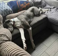 processed/3ed68027-1a7b-4a4e-a76e-d209a5412204/listing/e71f4465-e335-4cd0-81d8-0cb0fd676d38/a14ab26d-70da-4b91-8a86-a748f36c9b64