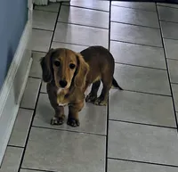 processed/3ee27bc5-48f5-40d7-a8fd-0a3a69c40850/listing/f1633d85-d075-4cd3-b90c-e04a7523d4d7/2327d641-dee9-461f-b873-ef8d00481a38