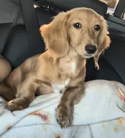 processed/3ee27bc5-48f5-40d7-a8fd-0a3a69c40850/listing/f1633d85-d075-4cd3-b90c-e04a7523d4d7/8cb23836-8655-4614-a8a5-b83888f1bd99