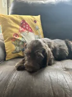 processed/3ee48a75-e098-4e27-8073-9037df869e94/listing/21104889-f1ea-40ee-9d57-434e28f0a9b6/767e812d-e82b-4410-9227-4743e18c340b