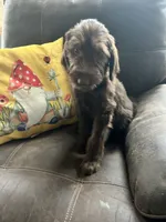 processed/3ee48a75-e098-4e27-8073-9037df869e94/listing/21104889-f1ea-40ee-9d57-434e28f0a9b6/97e0e338-72be-4901-abb3-c6a915ebc9ff