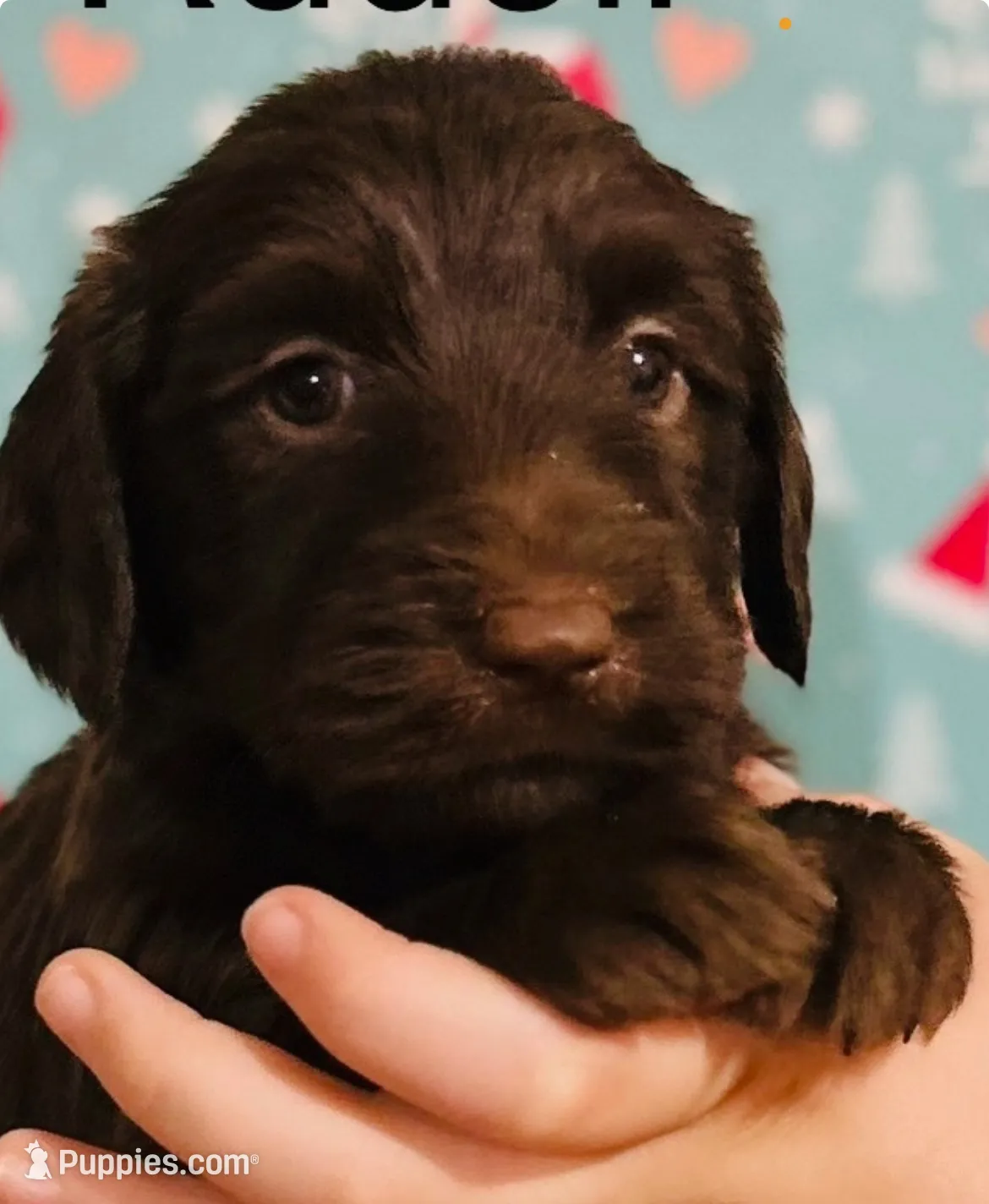 processed/3ee48a75-e098-4e27-8073-9037df869e94/listing/21104889-f1ea-40ee-9d57-434e28f0a9b6/a14dd93b-9bd7-4888-8dc0-83e121e874be