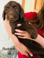 processed/3ee48a75-e098-4e27-8073-9037df869e94/listing/21104889-f1ea-40ee-9d57-434e28f0a9b6/b2ad6edc-e0aa-48c8-b5b5-ce0a17fc9761