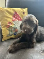 processed/3ee48a75-e098-4e27-8073-9037df869e94/listing/21104889-f1ea-40ee-9d57-434e28f0a9b6/b4741af5-5569-4537-b411-2ae8bde972cd