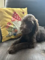 processed/3ee48a75-e098-4e27-8073-9037df869e94/listing/21104889-f1ea-40ee-9d57-434e28f0a9b6/b6c67fb4-51ba-485e-a890-7d2f5f003e52