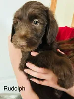 processed/3ee48a75-e098-4e27-8073-9037df869e94/listing/21104889-f1ea-40ee-9d57-434e28f0a9b6/bf73bb61-b723-4616-be92-8945dc5ab2e9