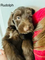 processed/3ee48a75-e098-4e27-8073-9037df869e94/listing/21104889-f1ea-40ee-9d57-434e28f0a9b6/f60d69c2-ac9b-42f1-b926-725641f22179