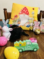 Orange, a male Double Doodle for sale in Cheraw, SC – Photo 4 of 6