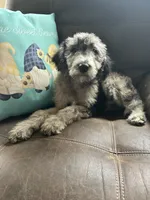 processed/3ee48a75-e098-4e27-8073-9037df869e94/listing/c59c8268-c8a6-4b07-a41e-c344d6f92a28/1b772dba-e195-4ca3-9e18-05e6abde5733