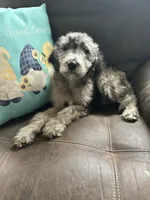 processed/3ee48a75-e098-4e27-8073-9037df869e94/listing/c59c8268-c8a6-4b07-a41e-c344d6f92a28/314eb40f-bd71-4b80-837e-0dbb28a06bbd