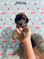 processed/3ee48a75-e098-4e27-8073-9037df869e94/listing/c59c8268-c8a6-4b07-a41e-c344d6f92a28/481b1756-1943-425b-9f32-36ef66cf23d0