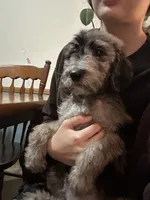 processed/3ee48a75-e098-4e27-8073-9037df869e94/listing/c59c8268-c8a6-4b07-a41e-c344d6f92a28/56f9fe7a-71b5-469d-b5bd-0d4bc15690c3