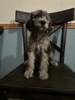 processed/3ee48a75-e098-4e27-8073-9037df869e94/listing/c59c8268-c8a6-4b07-a41e-c344d6f92a28/970c1bbc-f243-492e-8f5d-20d64ea94a55