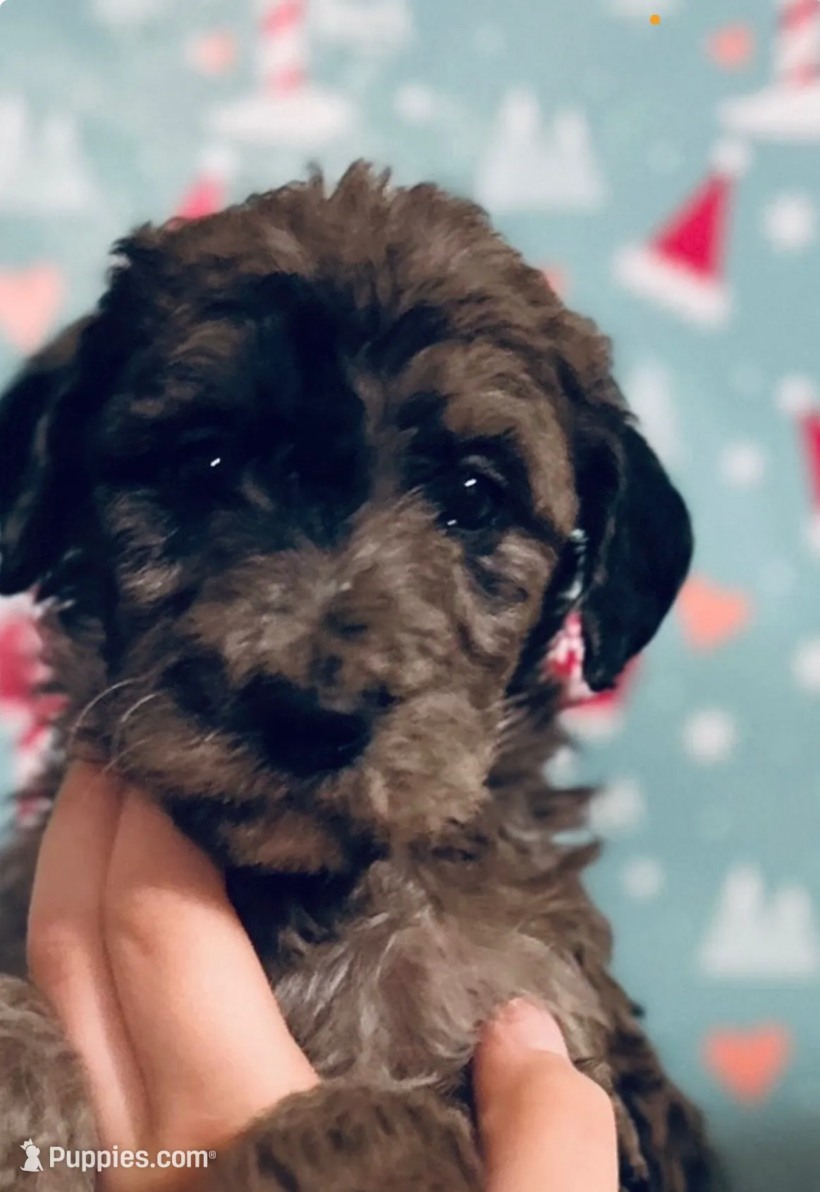 processed/3ee48a75-e098-4e27-8073-9037df869e94/listing/c59c8268-c8a6-4b07-a41e-c344d6f92a28/bdfa1263-26a9-4cd0-966e-89e67f213080