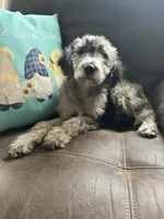 processed/3ee48a75-e098-4e27-8073-9037df869e94/listing/c59c8268-c8a6-4b07-a41e-c344d6f92a28/cfc11fdc-93b4-498c-bdf0-478887cae3a3