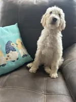 processed/3ee48a75-e098-4e27-8073-9037df869e94/listing/da8cc890-4a1f-4f11-b844-52834b5bf900/34dde5d8-9c28-4bff-b3cc-451a90c3b9ea