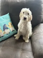 processed/3ee48a75-e098-4e27-8073-9037df869e94/listing/da8cc890-4a1f-4f11-b844-52834b5bf900/701a09ea-e961-4129-ba7f-c7489161ebe7