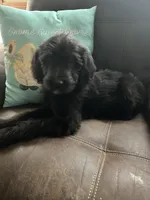 processed/3ee48a75-e098-4e27-8073-9037df869e94/listing/db3352ed-1152-4288-b69a-0ca6df5a1da6/39e9427b-003c-4b69-af40-30ac409426cd