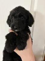 processed/3ee48a75-e098-4e27-8073-9037df869e94/listing/db3352ed-1152-4288-b69a-0ca6df5a1da6/571a8c1a-753e-4277-9abe-bca233f196ab