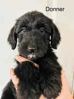 processed/3ee48a75-e098-4e27-8073-9037df869e94/listing/db3352ed-1152-4288-b69a-0ca6df5a1da6/5bd6fbc0-5416-42e8-8bf8-4f355e14b50a