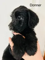 processed/3ee48a75-e098-4e27-8073-9037df869e94/listing/db3352ed-1152-4288-b69a-0ca6df5a1da6/5dcb7654-cb61-4573-bc66-26cd851896e9