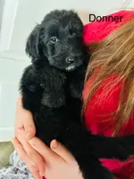 processed/3ee48a75-e098-4e27-8073-9037df869e94/listing/db3352ed-1152-4288-b69a-0ca6df5a1da6/be691a17-e094-4e95-bbdf-6f3e8214b892