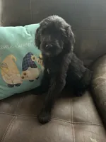 processed/3ee48a75-e098-4e27-8073-9037df869e94/listing/db3352ed-1152-4288-b69a-0ca6df5a1da6/db982aad-195d-48b1-a9c4-ef518e47ce4c