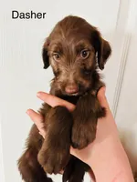 processed/3ee48a75-e098-4e27-8073-9037df869e94/listing/f968e3d0-e498-4026-ae48-27ffa6b92bcf/90641968-9d7c-4a0b-b377-65afbbbd4ae4