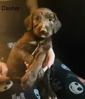 processed/3ee48a75-e098-4e27-8073-9037df869e94/listing/f968e3d0-e498-4026-ae48-27ffa6b92bcf/e8a7867f-d26d-4e99-a1ec-9ef567acdbf1