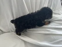 processed/3ef095c6-5065-49fd-b2bc-2d90de87488a/listing/0a5581a5-b806-409e-a28d-90917ba25e13/32ad4ec6-521a-4632-83d8-e8186fd21f12