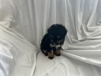 processed/3ef095c6-5065-49fd-b2bc-2d90de87488a/listing/0a5581a5-b806-409e-a28d-90917ba25e13/497b66f4-ed16-4e82-9020-d0784167eec0