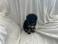 processed/3ef095c6-5065-49fd-b2bc-2d90de87488a/listing/0a5581a5-b806-409e-a28d-90917ba25e13/6b06e683-ed3c-4214-87d1-20315d35e0cc