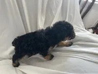 processed/3ef095c6-5065-49fd-b2bc-2d90de87488a/listing/0a5581a5-b806-409e-a28d-90917ba25e13/8f0853a1-b646-4297-ac6e-7aed4f849090