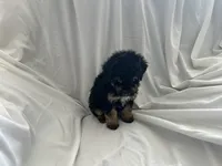 processed/3ef095c6-5065-49fd-b2bc-2d90de87488a/listing/0a5581a5-b806-409e-a28d-90917ba25e13/b31e2057-2a35-415a-b52e-4a52b2d18c51