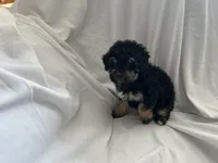 processed/3ef095c6-5065-49fd-b2bc-2d90de87488a/listing/0a5581a5-b806-409e-a28d-90917ba25e13/cc9b75a3-ec14-45f6-b7d4-365120088b06