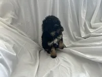 processed/3ef095c6-5065-49fd-b2bc-2d90de87488a/listing/0a5581a5-b806-409e-a28d-90917ba25e13/d2f18a37-66d6-43d7-b64c-754c6515f8fc