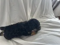 processed/3ef095c6-5065-49fd-b2bc-2d90de87488a/listing/0a5581a5-b806-409e-a28d-90917ba25e13/e4bc21a5-8339-4e59-a125-8ec14370d8bf