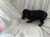 processed/3ef095c6-5065-49fd-b2bc-2d90de87488a/listing/6111753d-8444-47ff-bbd0-50555d0971c2/7189ec99-b4f6-46bf-87b9-70acf7cdbd6f